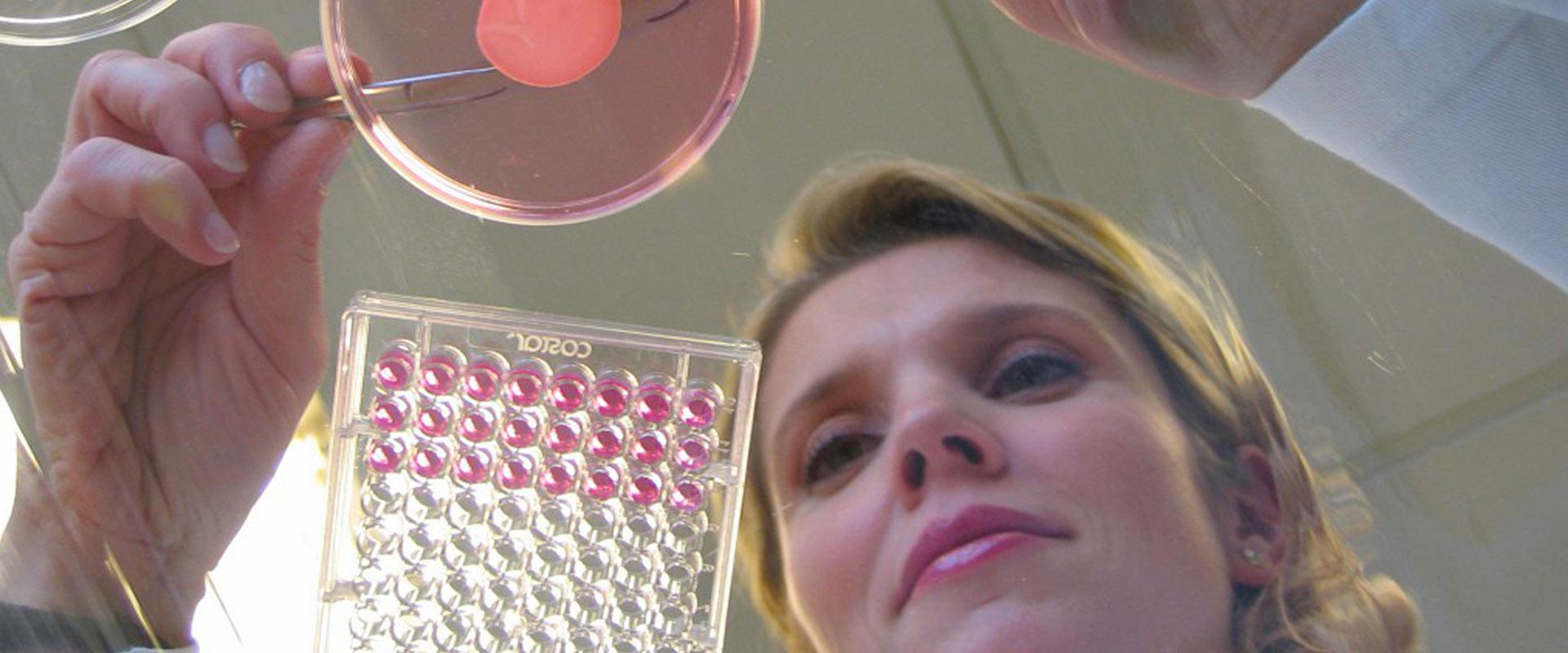 Das Thema Tierversuche Und Alternativmethoden Einblick In Unsere Produkte L Oreal